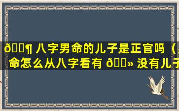 🐶 八字男命的儿子是正官吗（男命怎么从八字看有 🌻 没有儿子）